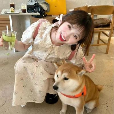 传世宝藏